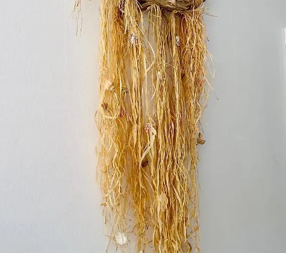 Casa Armonia Διαμέρισμα